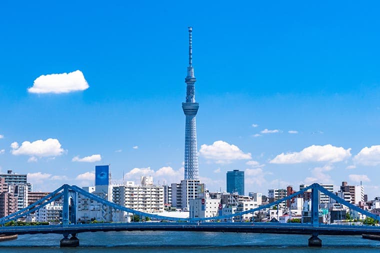 PANORAMIC TOKYO | full-day Tokyo tour by Hybrid Bus/Until 2025